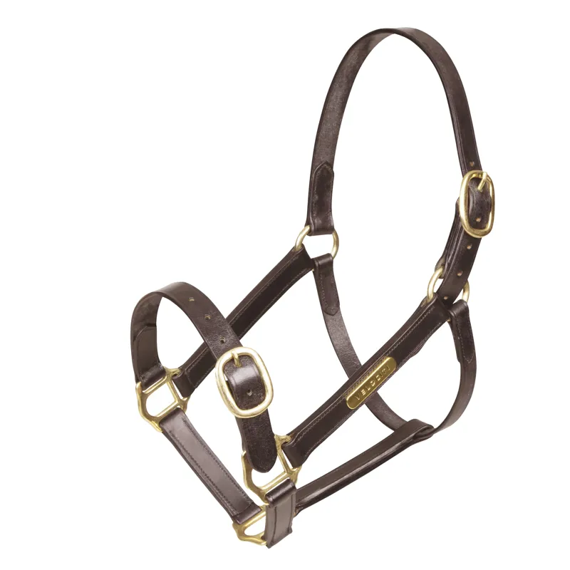 Velociti GARA Fully Adjustable Leather Headcollar Havana