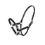 Velociti GARA Adjustable Leather Headcollar Black