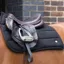 Coldstream Belford Suede GP Saddle Pad Black