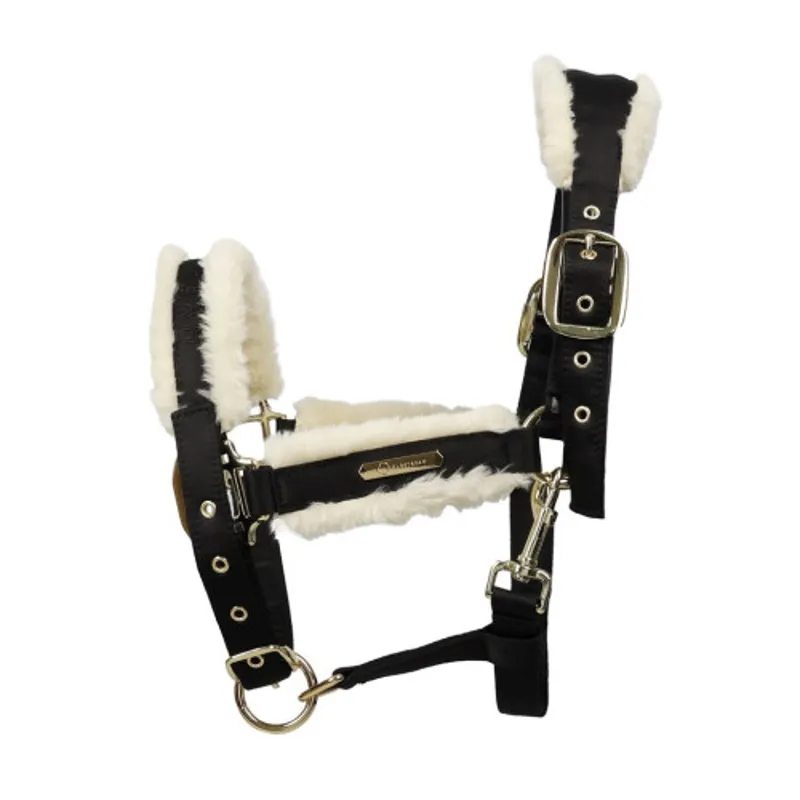 Coldstream Langlee Luxury Head Collar and Lead Rope in Black