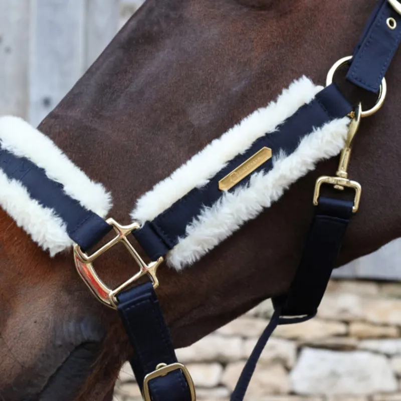 Coldstream Langlee Luxury Head Collar and Lead Rope Navy-1