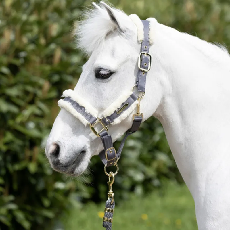 Coldstream Langlee Luxury Head Collar and Lead Rope in Grey-2