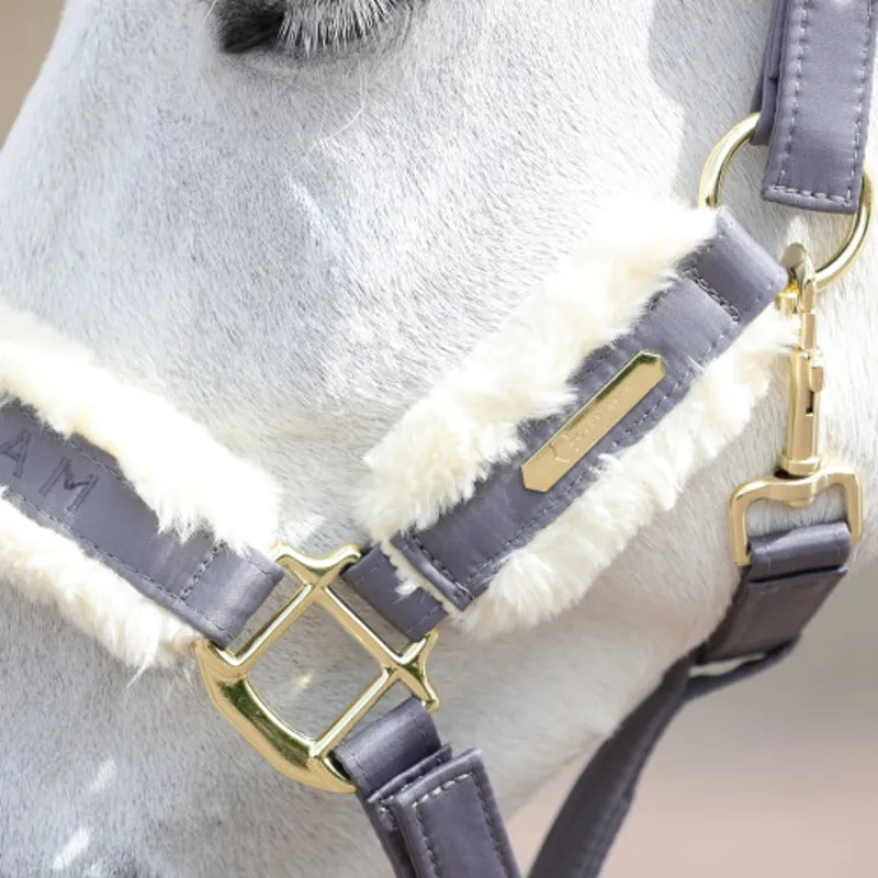Coldstream Langlee Luxury Head Collar and Lead Rope in Grey-1