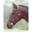 Velociti GARA Clincher Inhand Bridle Havana