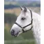 Velociti GARA Ragley Lined Leather Headcollar Black