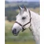 Velociti GARA Ragley Lined Leather Headcollar Havana