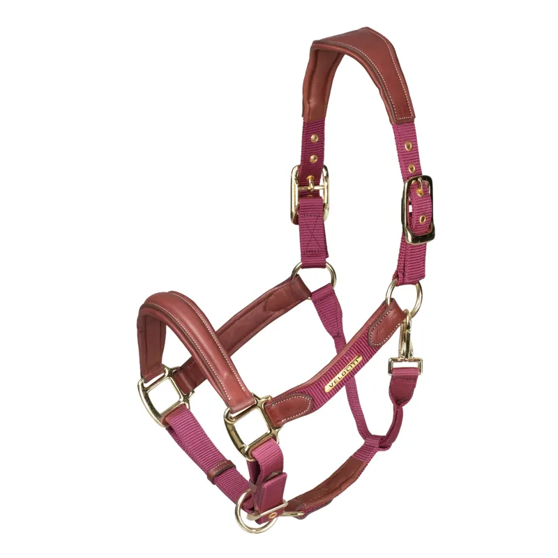 Velociti Lusso Padded Leather Headcollar in Burgundy
