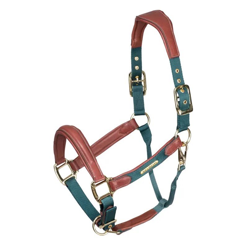 Velociti Lusso Padded Leather Headcollar in Green