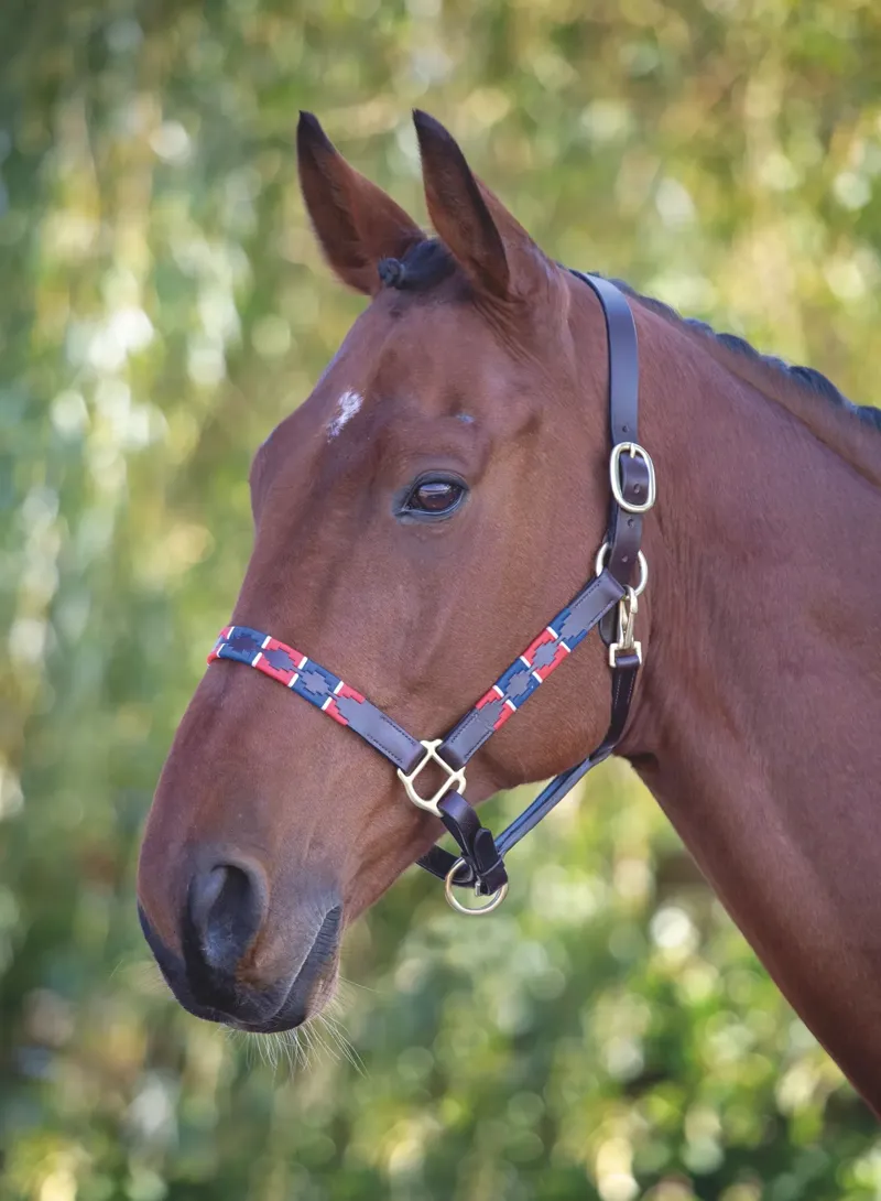 Velociti GARA Leather Polo Headcollar Red/Navy-1