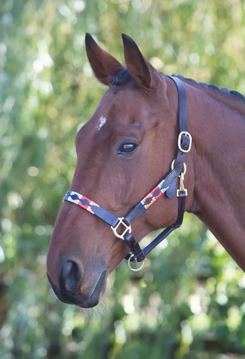 Velociti GARA Leather Polo Headcollar Turq/Red/Org/Blu-1