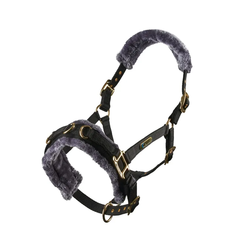 Fleece Lined Lunge Cavesson Black-1