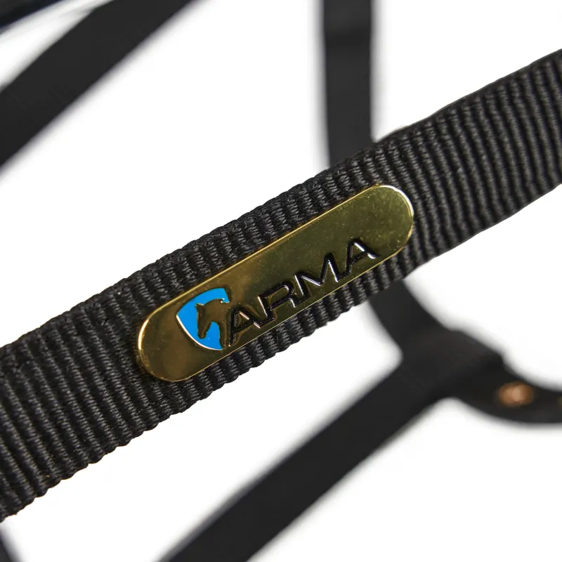 Fleece Lined Lunge Cavesson Black-3