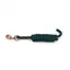 ARMA Lead Rope 2 metres In Green 