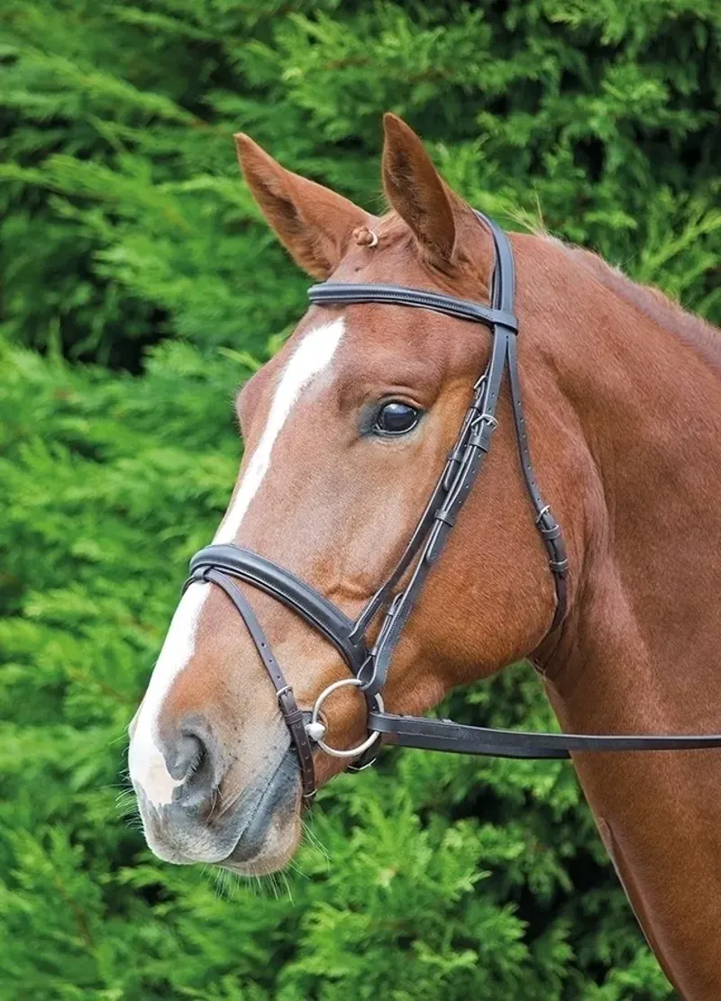 Velociti GARA Comfort Fit Bridle Havana