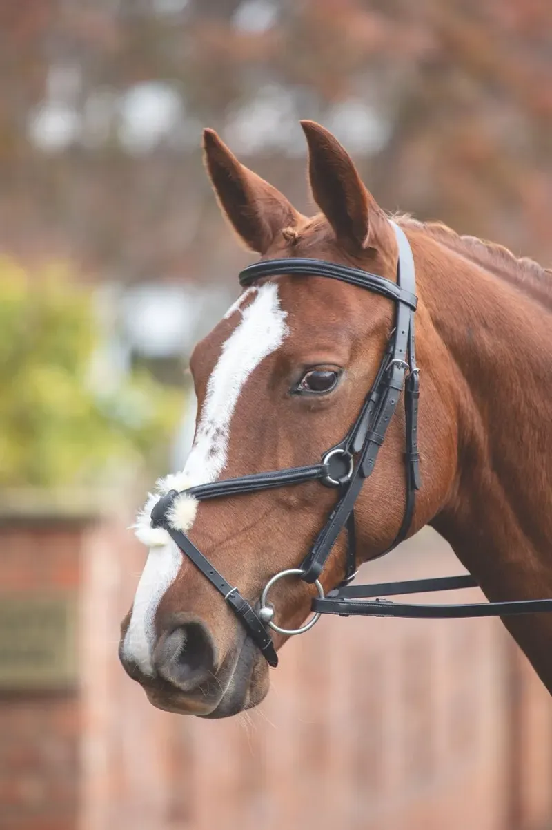Velociti GARA Mexican Bridle Havana