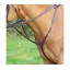 Velociti GARA Hunt Weight Breastplate Havana