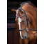 Velociti Rolled Padded Cavesson Bridle in Black