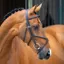 Lusso Grackle Bridle Havana