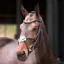 Velociti Lusso Elite Grackle Bridle Havana