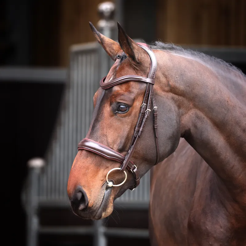 Velociti Lusso Elite Padded Cavesson Bridle Havana