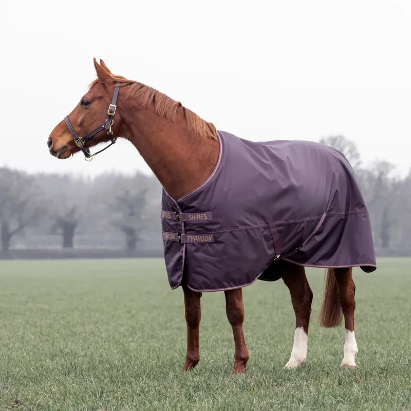 Typhoon 100 Turnout Rug in Black Cherry -3