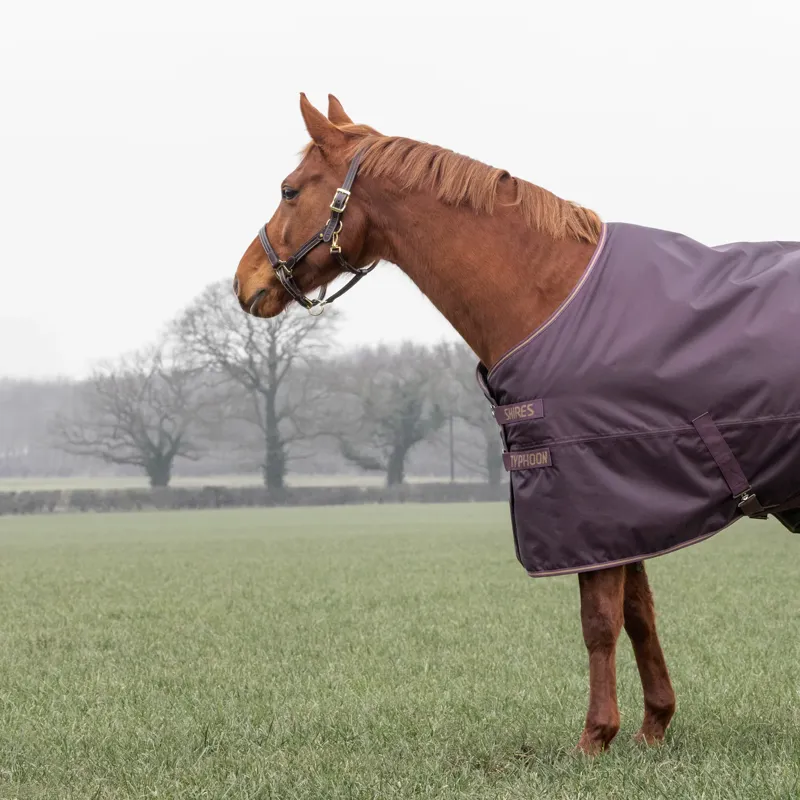 Typhoon 100 Turnout Rug in Black Cherry -2