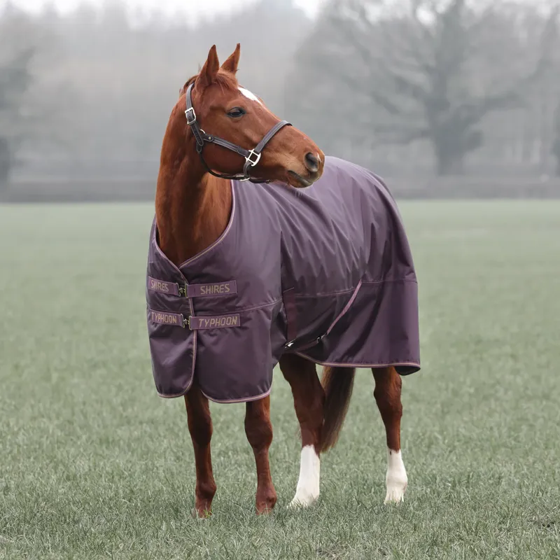 Typhoon 100 Turnout Rug in Black Cherry 