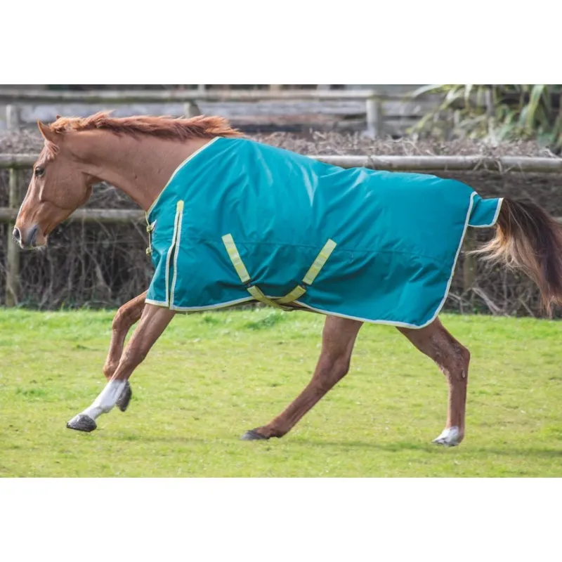 Bridleway Ontario 100g Turnout Rug Green