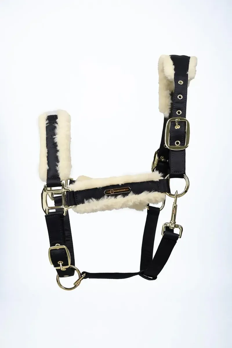 Coldstream Langlee Luxury Head Collar and Lead Rope Navy