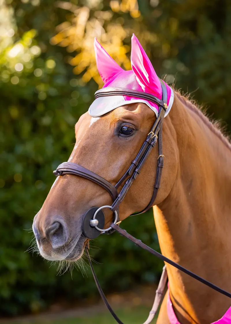 Woof Wear Hi Viz Fly Veil Pink-2