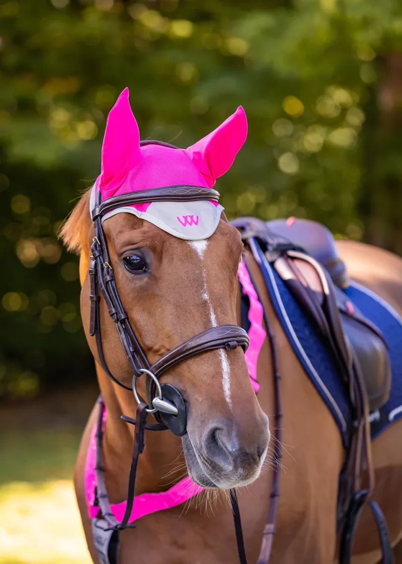 Woof Wear Hi Viz Fly Veil Pink-3