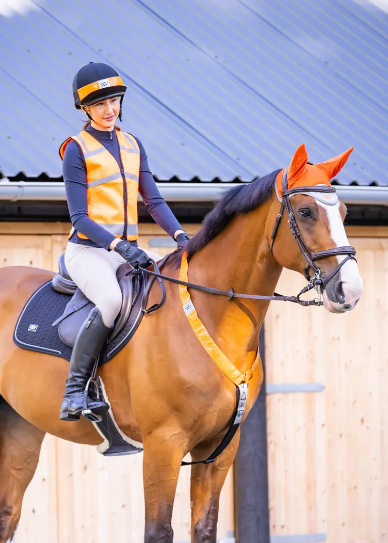 Woof Wear Hi Vis Hatband Orange-3