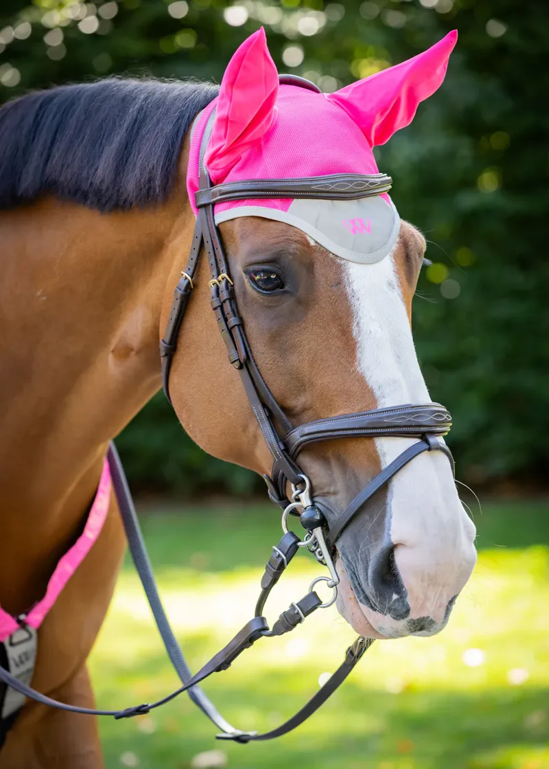 Woof Wear Hi Viz Fly Veil Pink-1