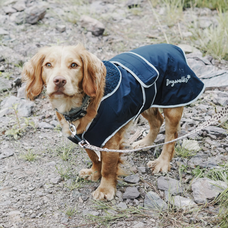 Drywalks Waterproof Dog Coat Navy-1