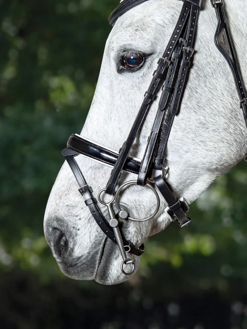 Equiline Black Patent Contrast Crank Noseband with White Lining and Flash Strap-1
