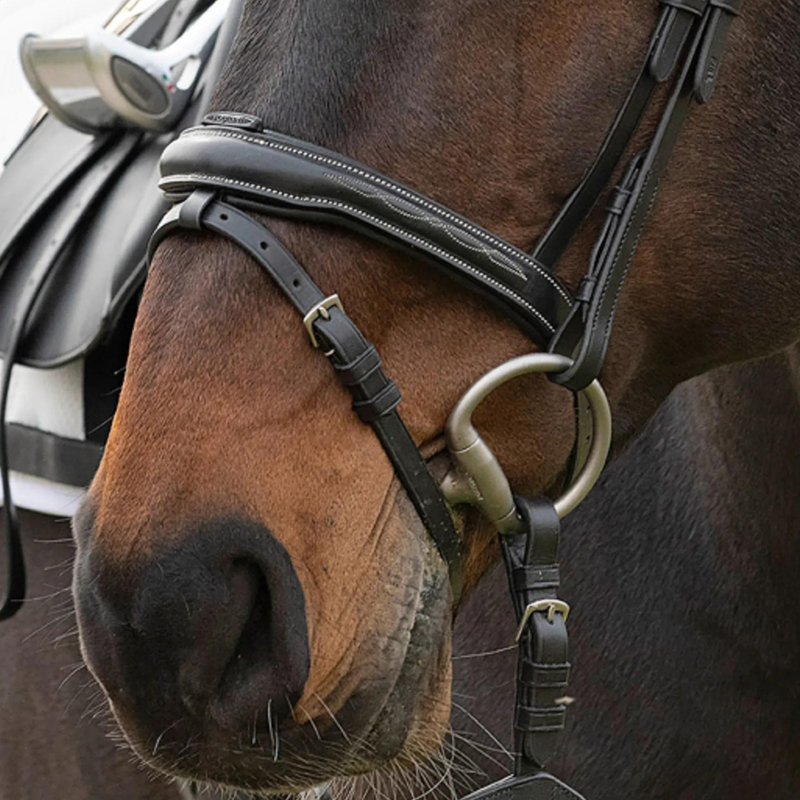 Equiline Shaped Convex Noseband With Wide Center and Removable Flash Black-1