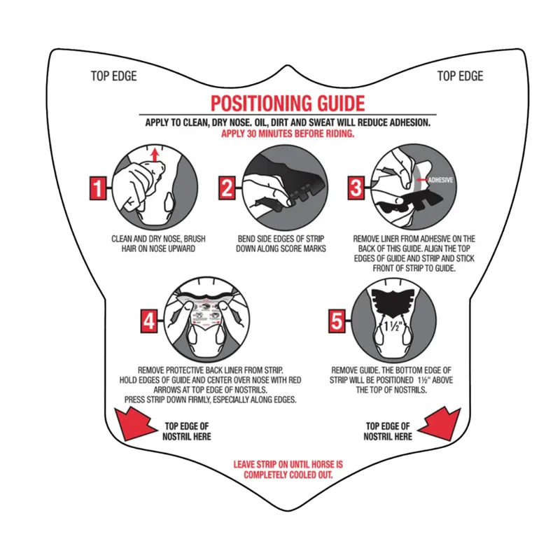 Flair Equine Nasal Strips-3