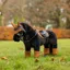 LeMieux Toy  Pony Pad Ginger
