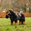 LeMieux Toy  Pony Fly Hood Ginger