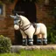 LeMieux Toy Pony Pad Glacier One Size
