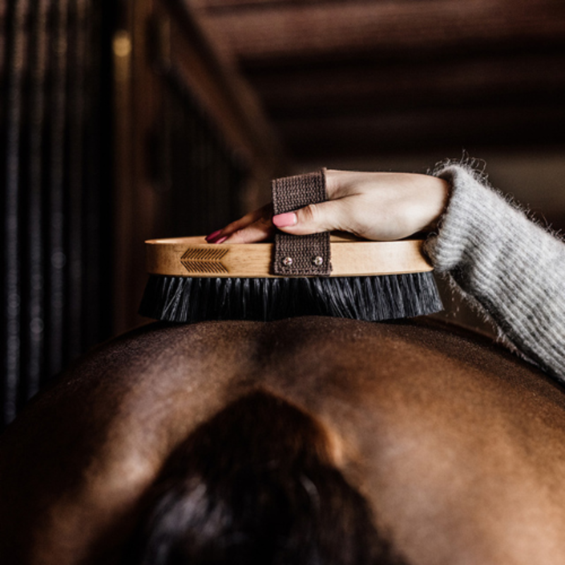 Grooming Deluxe Oval Luxury Body Brush Hard-4