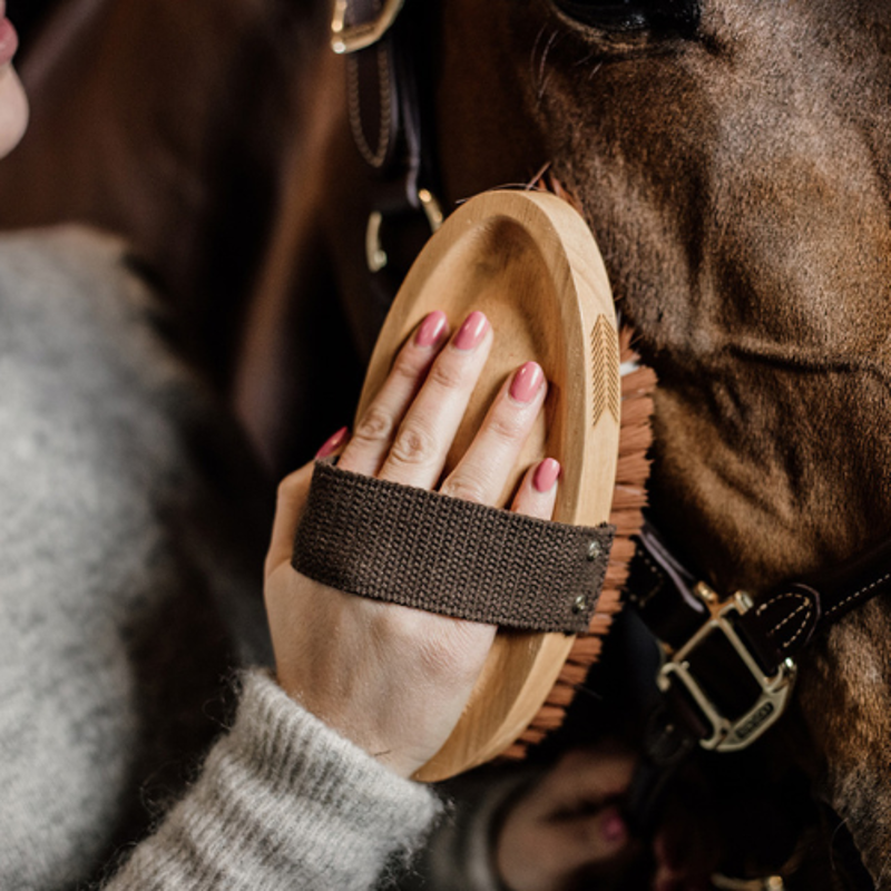 Grooming Deluxe Oval Luxury Body Brush Soft-2