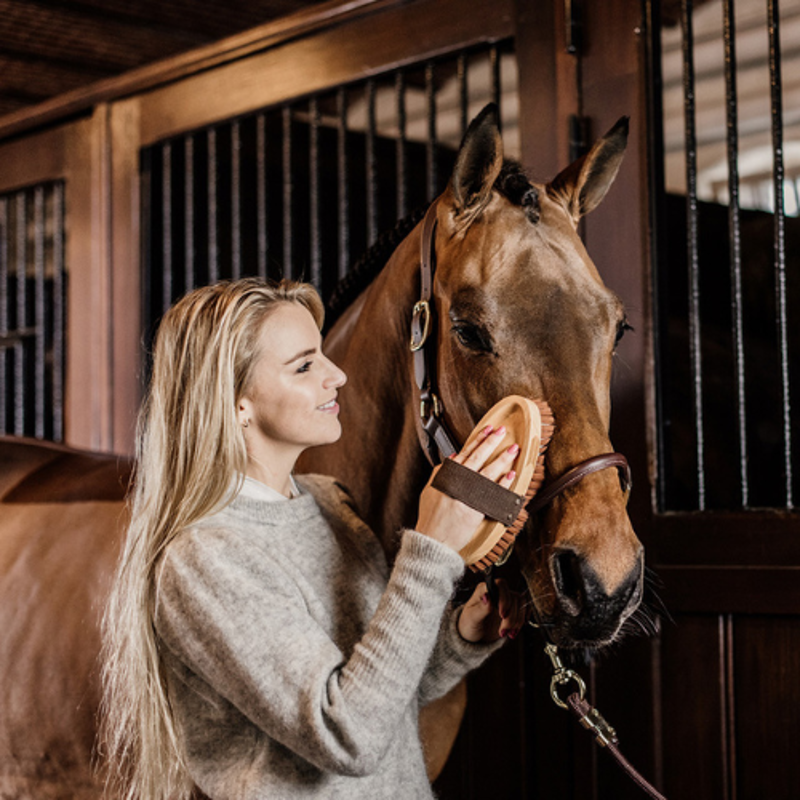 Grooming Deluxe Oval Luxury Body Brush Soft-3