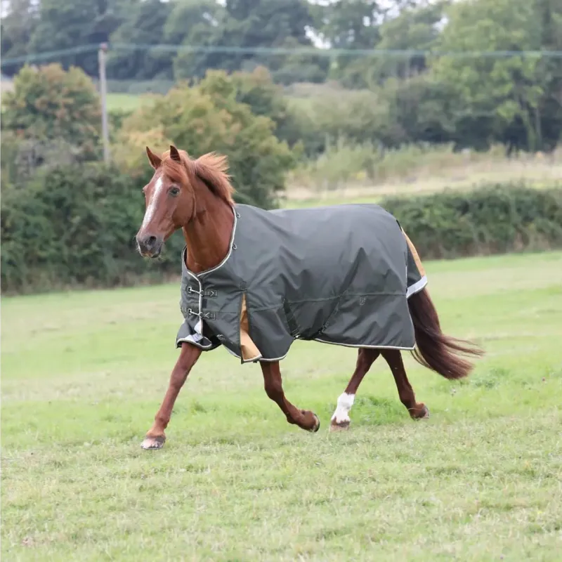 Highlander Plus 50 Turnout Rug Green
