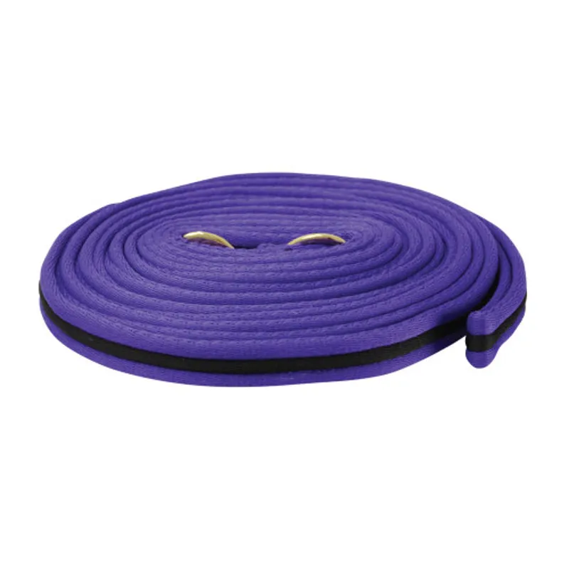 Hy Soft Webbing Lunge Rein  Purple/Black 