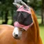 LeMieux Visor-Tek Half Fly Mask Peony