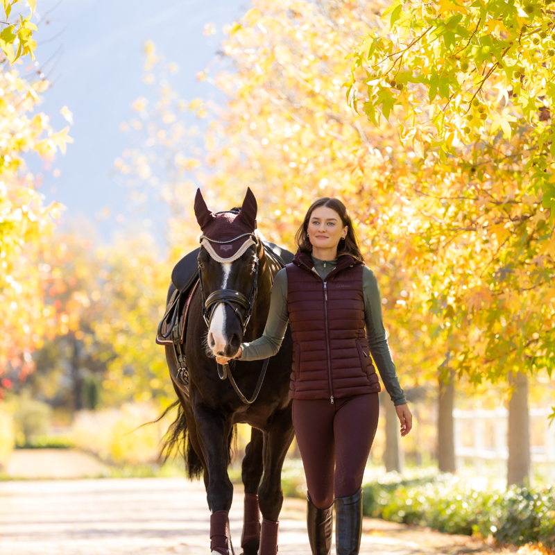 LeMieux Loire Fly Hood Damson-1