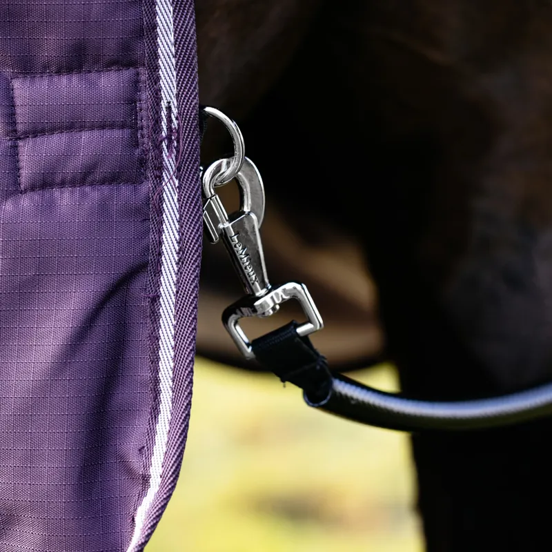 LeMieux Arika Ripstop 100g Turnout Rug Juniper-2