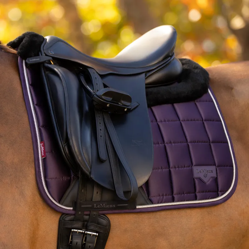 LeMieux Merino+ Loire Classic Dressage Square Juniper-1