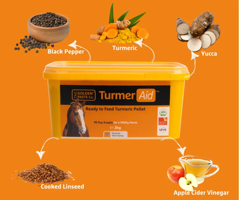 The Golden Paste Co. TurmerAid-2